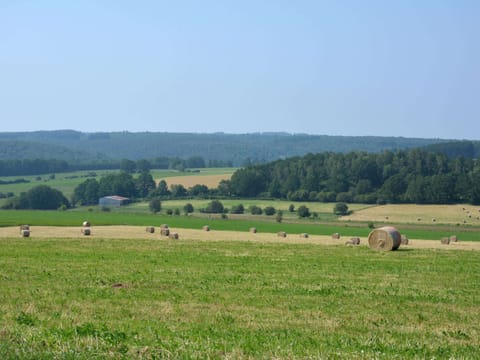 House | View from property