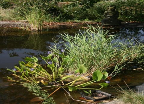 Cottage | View from property