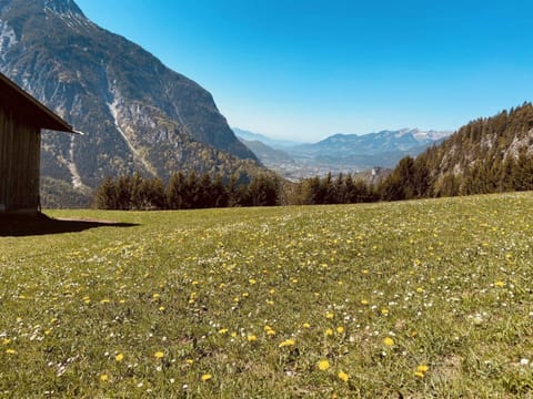 Apartment | View from property