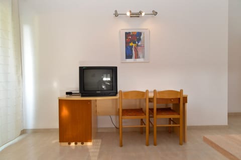 Television