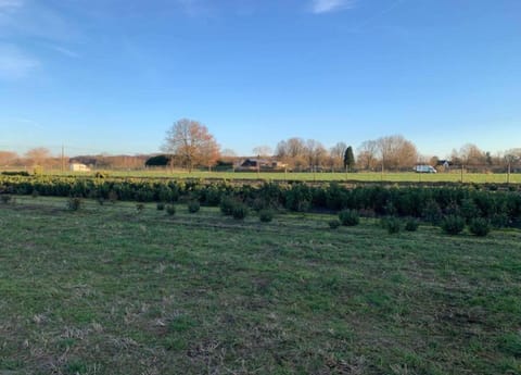 Chalet | View from property