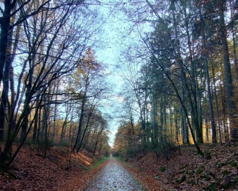 Apartment | View from property