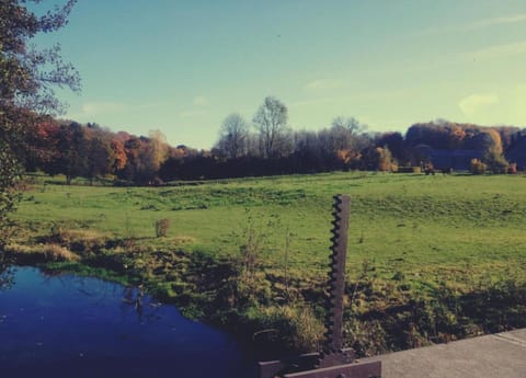 House | View from property