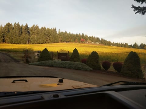 Heading up 'the Hill' on a beautiful fall day.  House at the top.