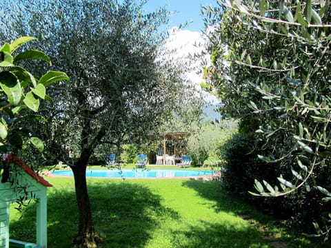 Plant, Sky, Water, Natural Landscape, Natural Environment, Shade, Tree, Land Lot, Grass, Swimming Pool