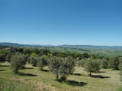 Nature, Vegetation, Natural Environment, Land Lot, Tree, Grassland, Sky, Natural Landscape, Property, Wilderness