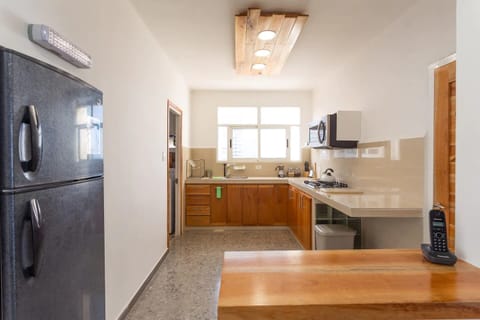 Deluxe Apartment | Private kitchen | Full-size fridge, microwave, oven, espresso maker