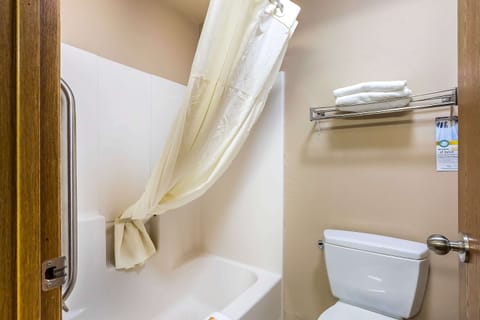 Combined shower/tub, free toiletries, hair dryer, towels