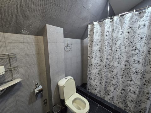 Standard Double Room, Balcony | Bathroom | Shower, rainfall showerhead, free toiletries, hair dryer