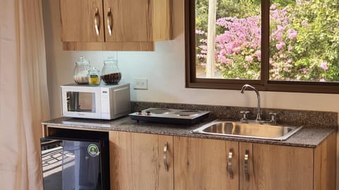 Exclusive Studio Suite, 1 Queen Bed, Kitchenette, Mountain View | Private kitchen | Fridge