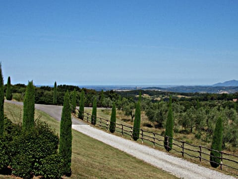 Sky, Tree, Natural Landscape, Land Lot, Property, Fence, Grass, Landscape, Plant, Shrub