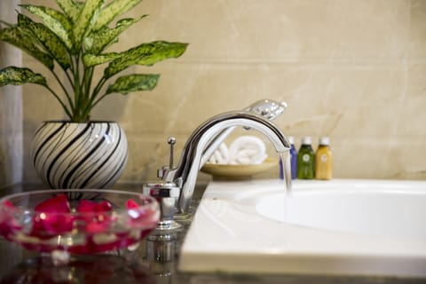 Lake View Suite | Bathroom sink