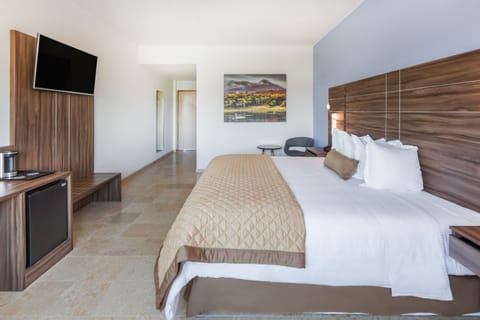 Executive Room, 1 King Bed | View from room