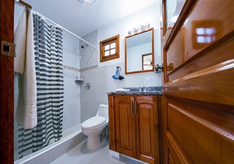 Deluxe Triple Room | Bathroom | Shower, rainfall showerhead, free toiletries, hair dryer