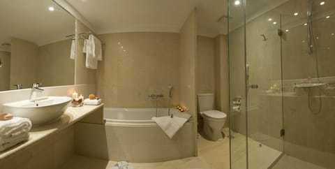 Separate tub and shower, free toiletries, hair dryer, bathrobes