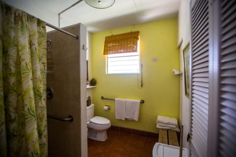 Cottage, 3 Bedrooms, Accessible, Non Smoking | Bathroom shower