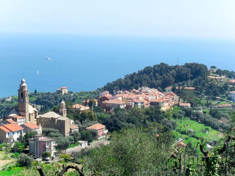 Furniture, Comfort, Wood, Bed, Lighting, Shade, Window, Floor, Flooring