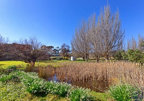 Private Vacation Home | Garden view