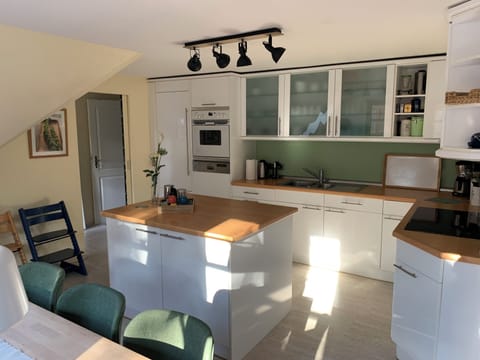 Superior Apartment (incl. EUR 120 Cleaning fee) | Private kitchen | Full-size fridge, microwave, oven, stovetop