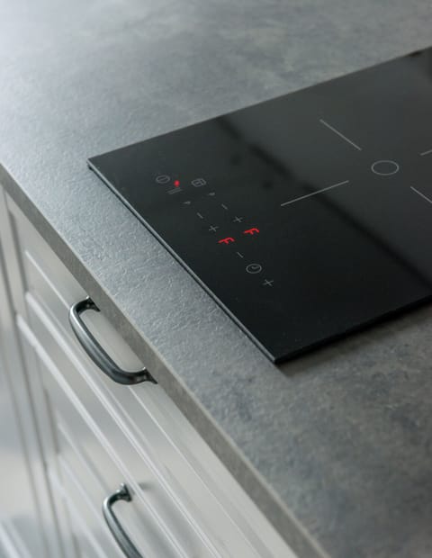 Full-size fridge, microwave, stovetop