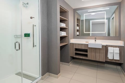 Suite, 1 Bedroom | Bathroom | Free toiletries, hair dryer, towels