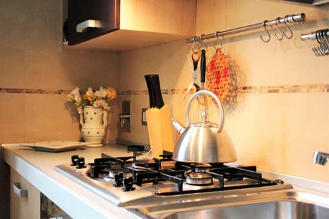 Deluxe Apartment, 1 Bedroom | Private kitchen | Fridge, microwave, electric kettle, highchair