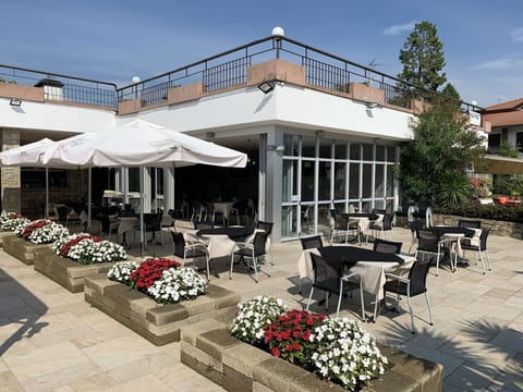 Sky, Flower, Plant, Property, Furniture, Umbrella, Flowerpot, Shade, Tree, Table