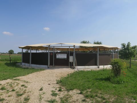 Sky, Plant, Cloud, Plant Community, Building, Shade, Tree, Landscape, Roof, House