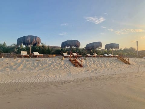 Private beach, sun loungers, beach umbrellas