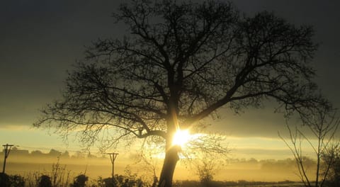 View from Holiday Home [winter]