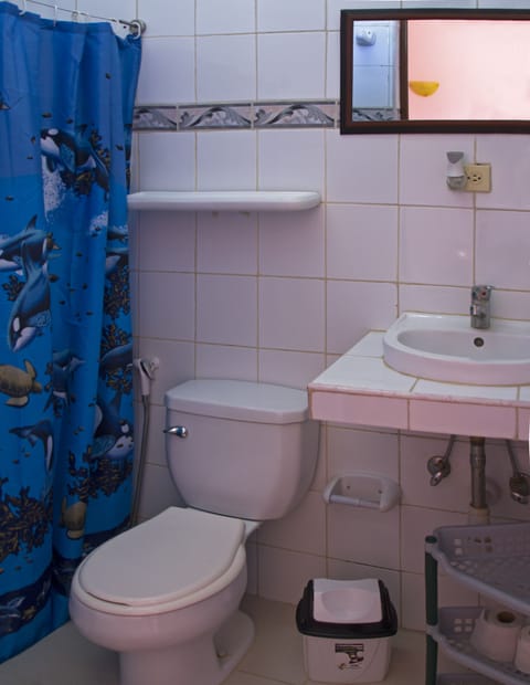 Triple Room | Bathroom | Shower, rainfall showerhead, free toiletries, hair dryer