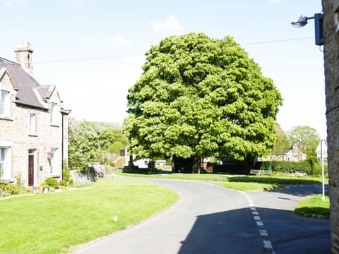 Surrounding area | Sweet Pea Cottage, Redmire, near Leyburn