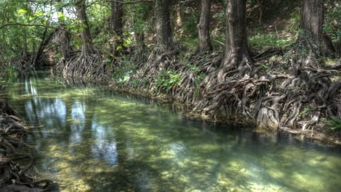 The river is currently dry in most locations on the Sabinal river.