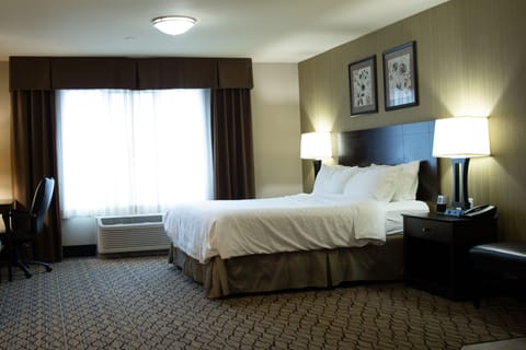 Standard Room, 1 King Bed, Accessible (Hearing Accessible) | In-room safe, desk, laptop workspace, blackout drapes