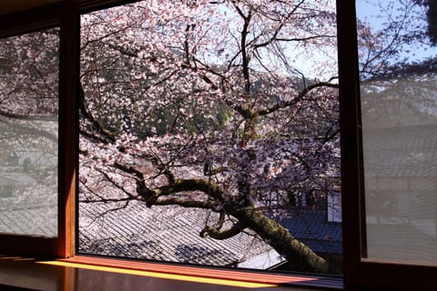 Various layout Simple Japanese Style Room | View from room