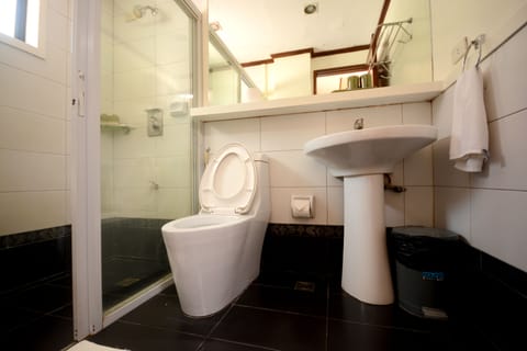 Superior Double Room | Bathroom | Shower, free toiletries, towels