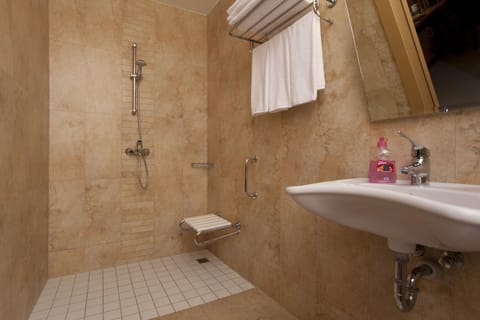 Basic Room | Bathroom | Shower, free toiletries, hair dryer, towels