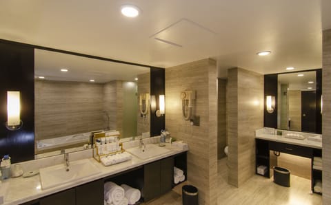 International Suite | Bathroom | Combined shower/tub, free toiletries, hair dryer, bathrobes