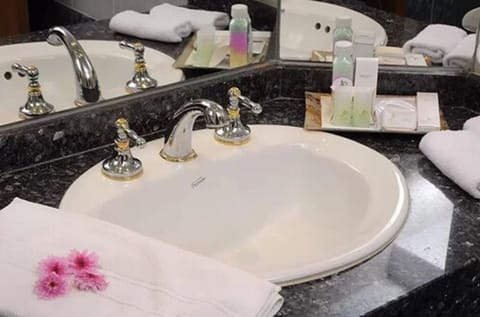 Premium Room | Bathroom | Free toiletries, hair dryer, bidet, towels