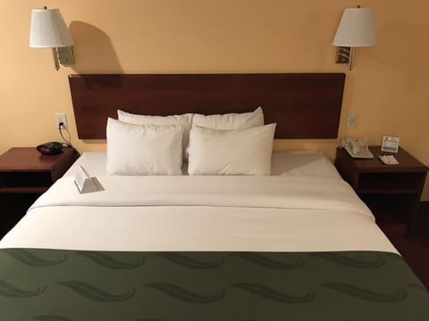 Standard Room, 1 King Bed, Non Smoking (Pet Friendly) | Premium bedding, down comforters, pillowtop beds, desk