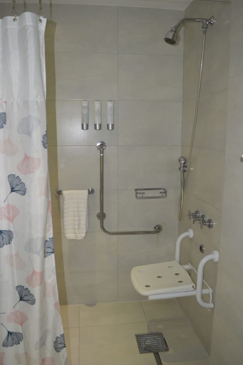 Standard Double Room, 1 King Bed | Accessible bathroom