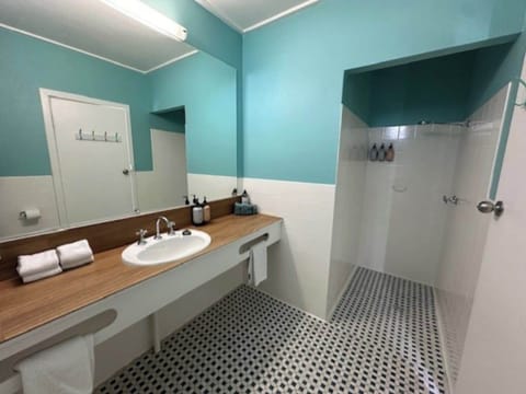 QUEEN ROOM | Bathroom | Shower, free toiletries, hair dryer, towels