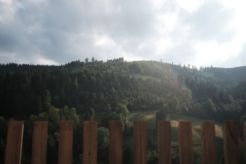 Premium Room (Haus Kohlwald) | Balcony view