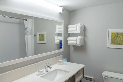 Combined shower/tub, free toiletries, hair dryer, towels