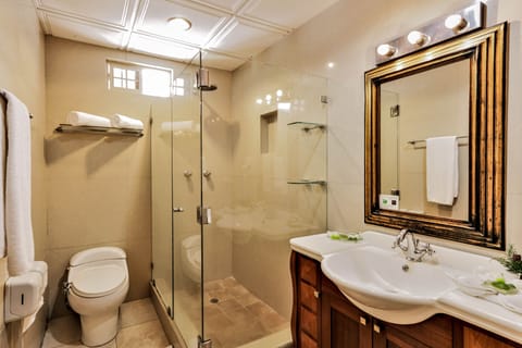 Suite | Bathroom | Shower, rainfall showerhead, hair dryer, towels