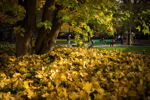 Children's play area - outdoor