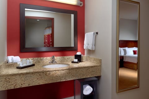 Suite, 1 King Bed with Sofa bed | Bathroom | Shower, rainfall showerhead, designer toiletries, hair dryer