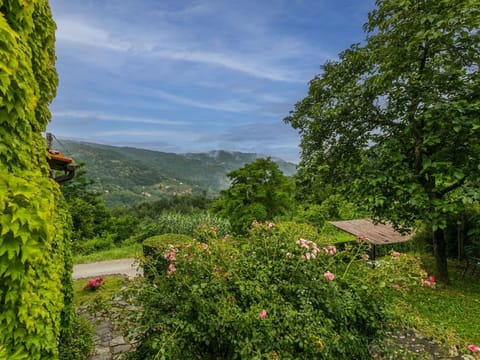 Flower, Sky, Plant, Cloud, Plant Community, Mountain, Natural Landscape, Tree, Land Lot, Landscape