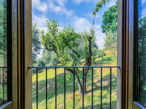 Plant, Cloud, Sky, Property, Natural Environment, Botany, Shade, Interior Design, Tree