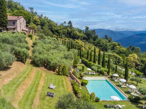 Plant, Water, Sky, Cloud, Building, Natural Landscape, Tree, Swimming Pool, Grass, Leisure